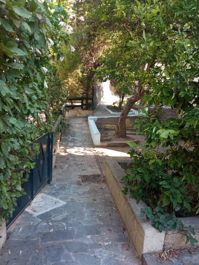 Utopia Suites 3 Aegina Eksteriør billede